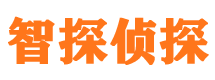 仁寿市私家侦探